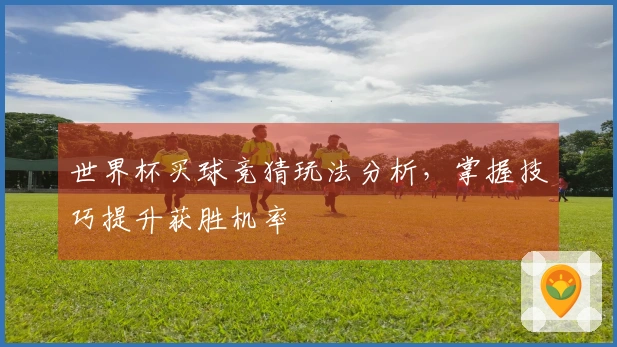世界杯买球竞猜玩法分析，掌握技巧提升获胜机率