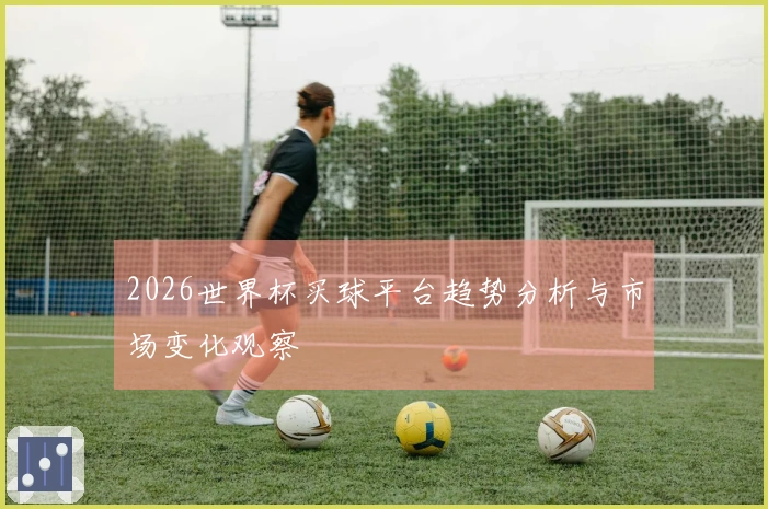 2026世界杯买球平台趋势分析与市场变化观察