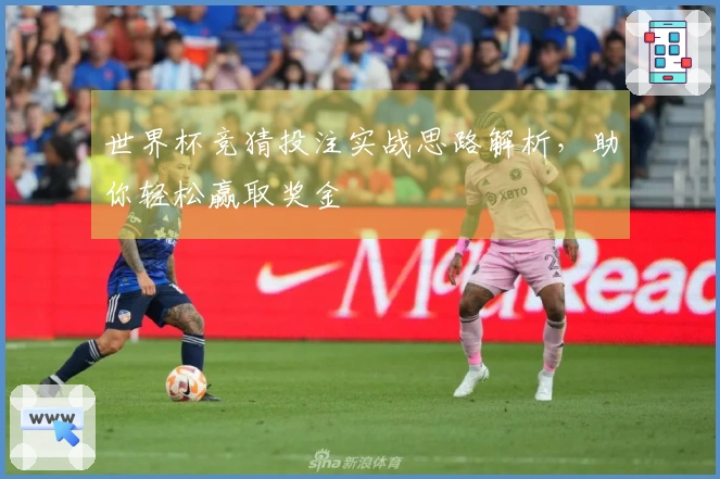 世界杯竞猜投注实战思路解析，助你轻松赢取奖金
