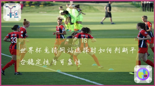 世界杯竞猜网站选择时如何判断平台稳定性与可靠性
