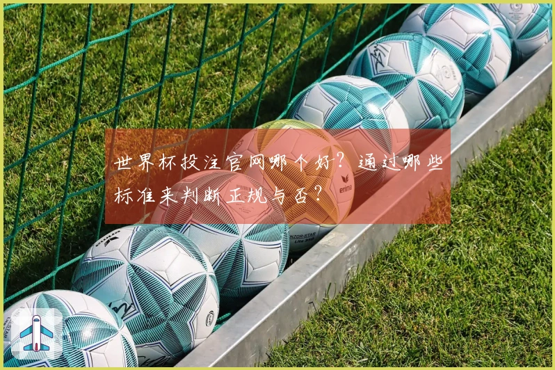 世界杯投注官网哪个好？通过哪些标准来判断正规与否？
