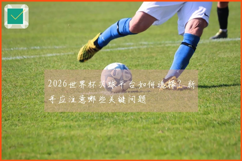 2026世界杯买球平台如何选择？新手应注意哪些关键问题