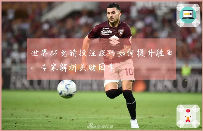 世界杯竞猜投注技巧如何提升胜率，专家解析关键因素